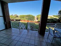 The Gull