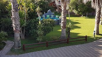 The Gull