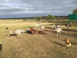 Finca Piedra