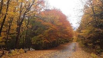 8 Acre Wood
