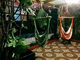 Posada Come So In The Bush