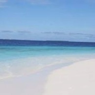Pearl Beach View