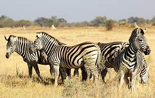Island Safari Lodge