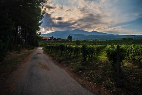 Tenuta San Michele