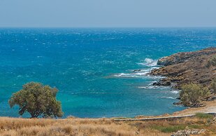 Aelia Paros Villas