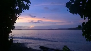 Evis Resort