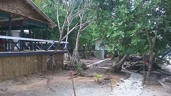 Evis Resort