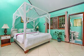 Tropical Paradise View