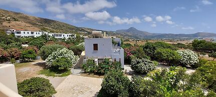 Doma Apartments