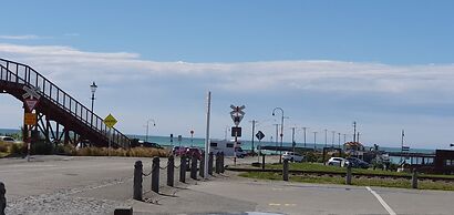 The Mews Oamaru