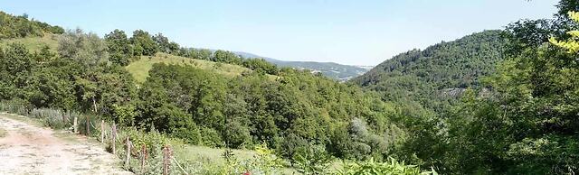 agriturismo il capannino