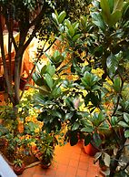 Hotel Casa Guivá