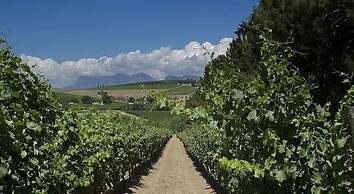 Clos Malverne Wine Estate Accommodation