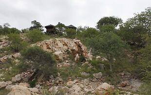 Adansonia Eco Lodge
