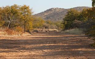 Adansonia Eco Lodge