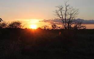 Adansonia Eco Lodge
