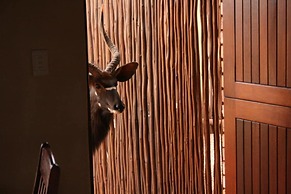 Makhato 84 Bush Lodge
