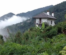 B&B La Locanda del Cinghiale
