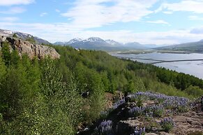 Viking Cottages and Apartments