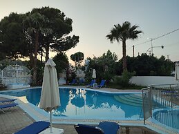 Dolphin Apartments