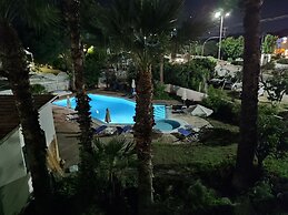 Dolphin Apartments