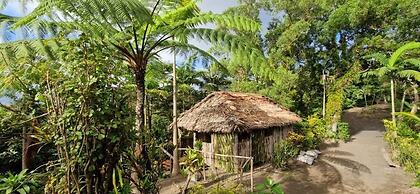 Tanna Lava View Bungalows