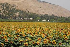 Beit Alfa Kibbutz Country Lodging