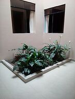 Selva del Sol