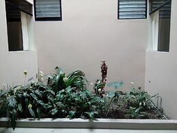 Selva del Sol