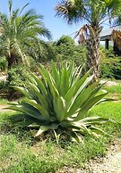 Red Palm Village