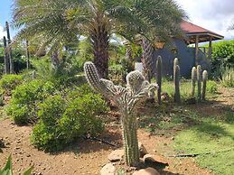 Red Palm Village