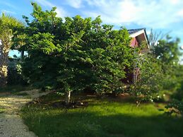 Red Palm Village