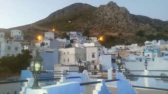 Riad Antek
