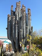 Obesa Lodge