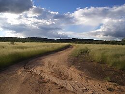 Sasa Safari Camp
