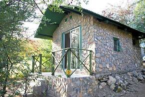 Sasa Safari Camp