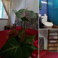 Hostal Cecilia
