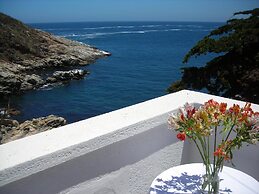 Casa Wilson