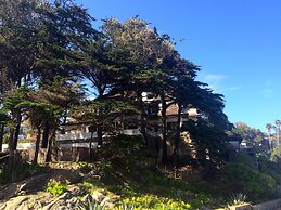 Casa Wilson
