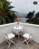 Casa Wilson
