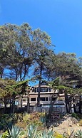 Casa Wilson