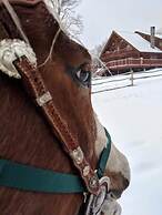Montana Hill Guest Ranch