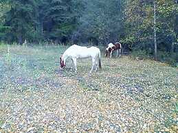 Montana Hill Guest Ranch