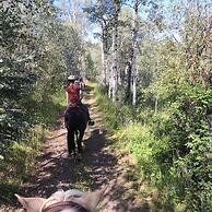 Montana Hill Guest Ranch