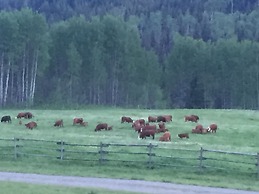 Montana Hill Guest Ranch