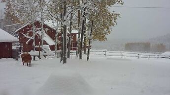 Montana Hill Guest Ranch