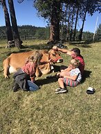 Montana Hill Guest Ranch