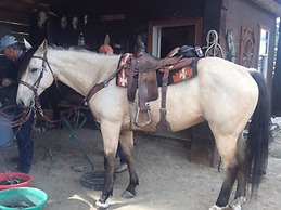 Montana Hill Guest Ranch