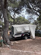 Estival Torre de la Mora