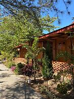 Trinity Family Inn